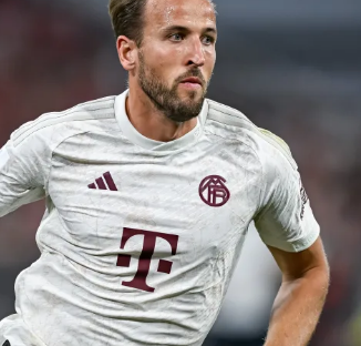 分析师的高 分析师的高