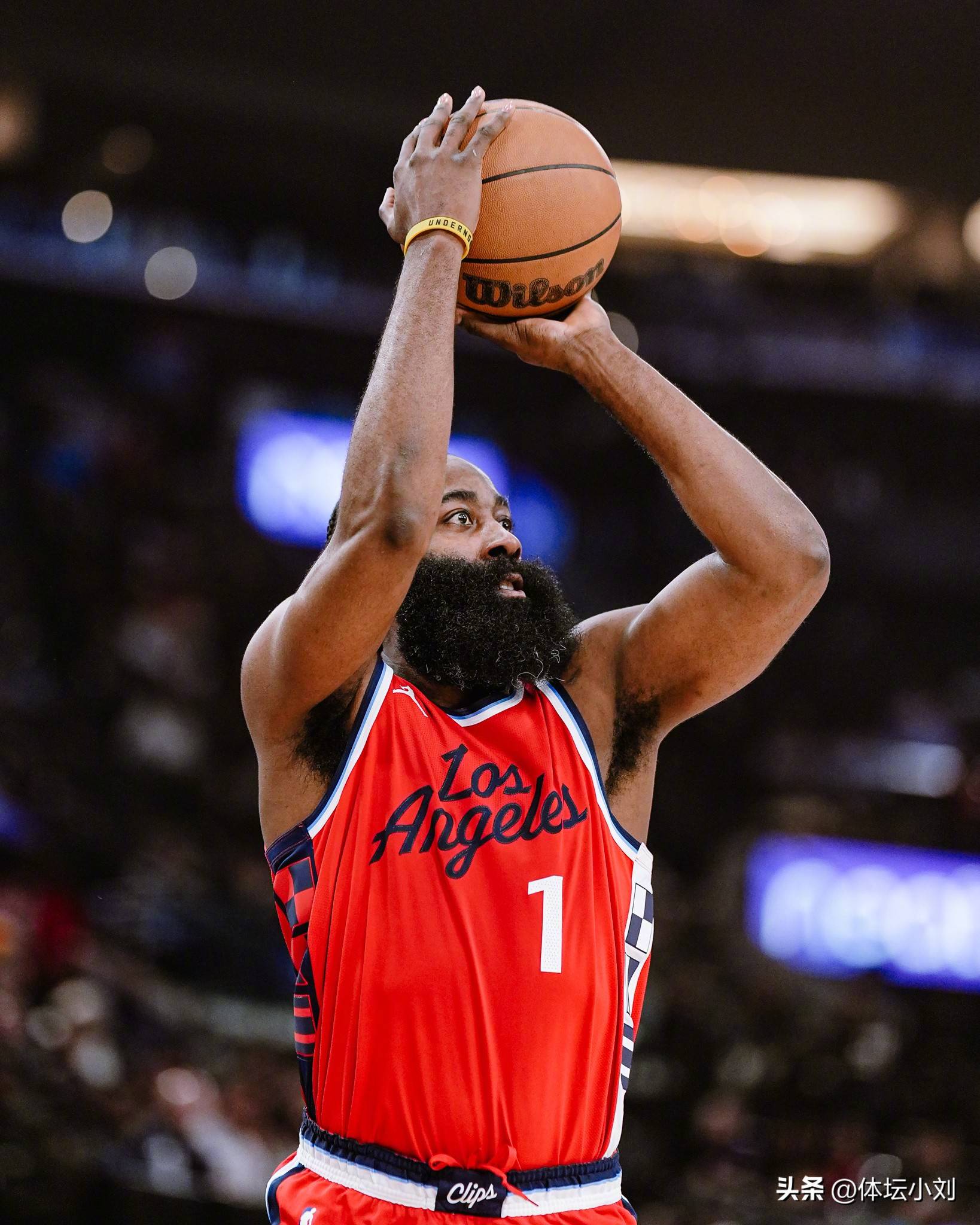 衡的典型样 衡的典型样